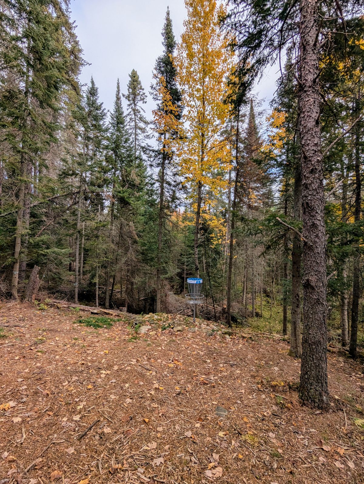 Hole 5 basket in the rocks. Fun technical tee shot