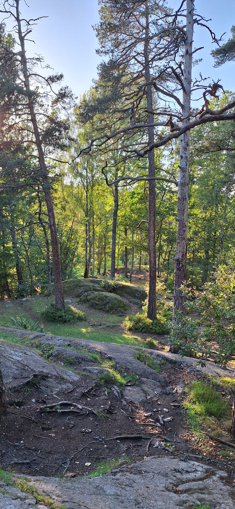 Hål 4 Tee