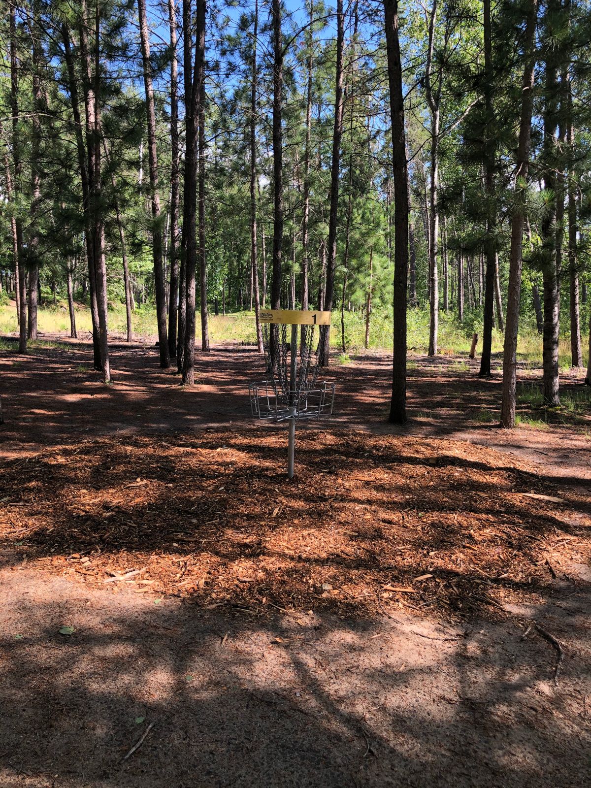 Hole 1 basket