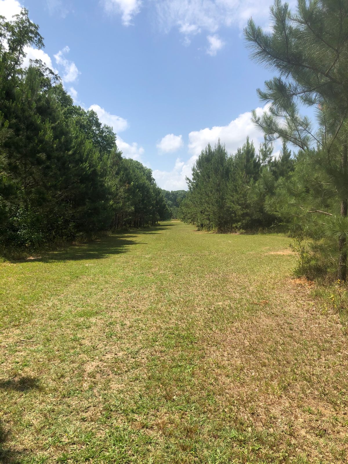 Hole 10