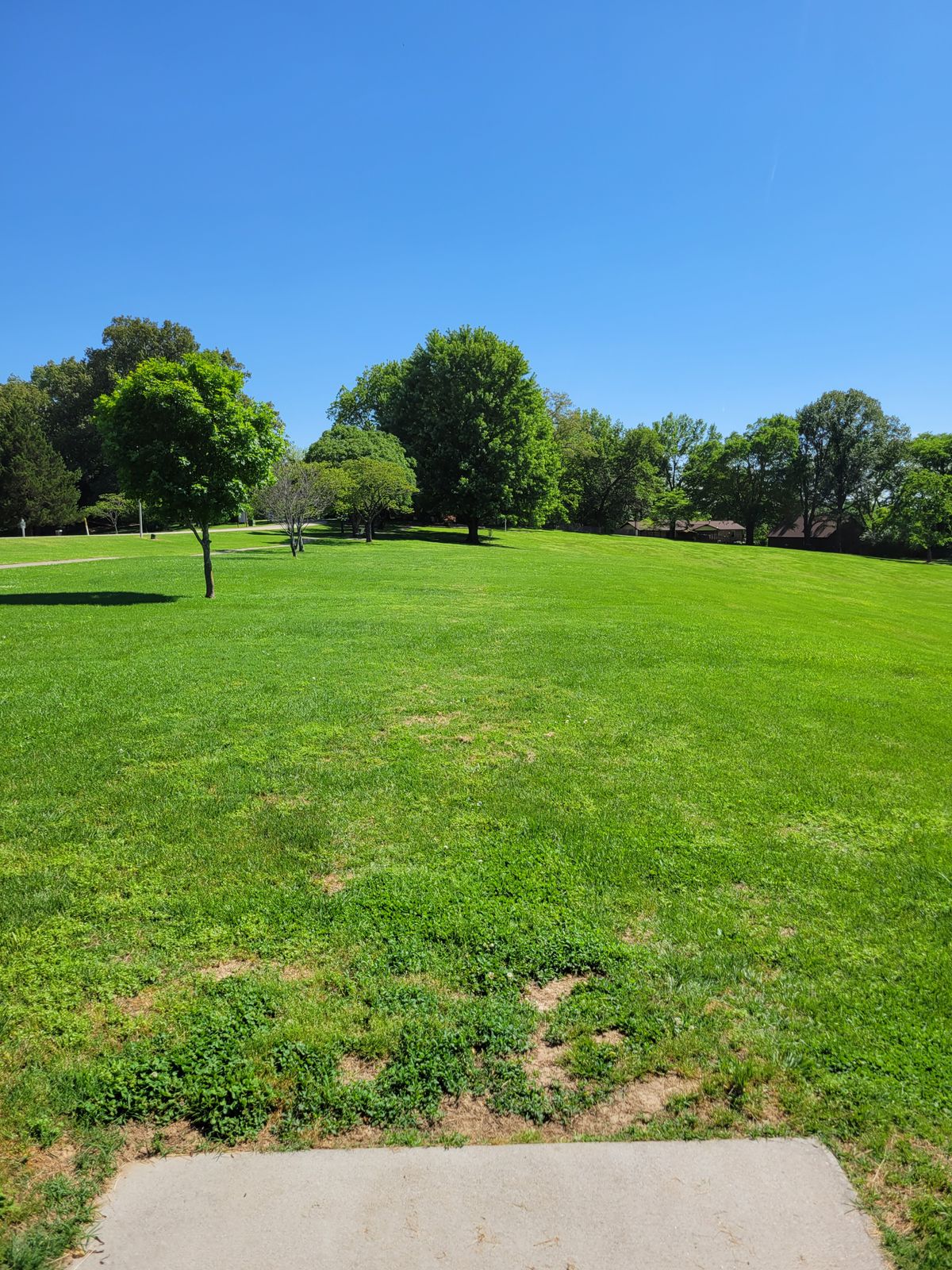 8 fairway, flat with right side sloping down. OB path left.