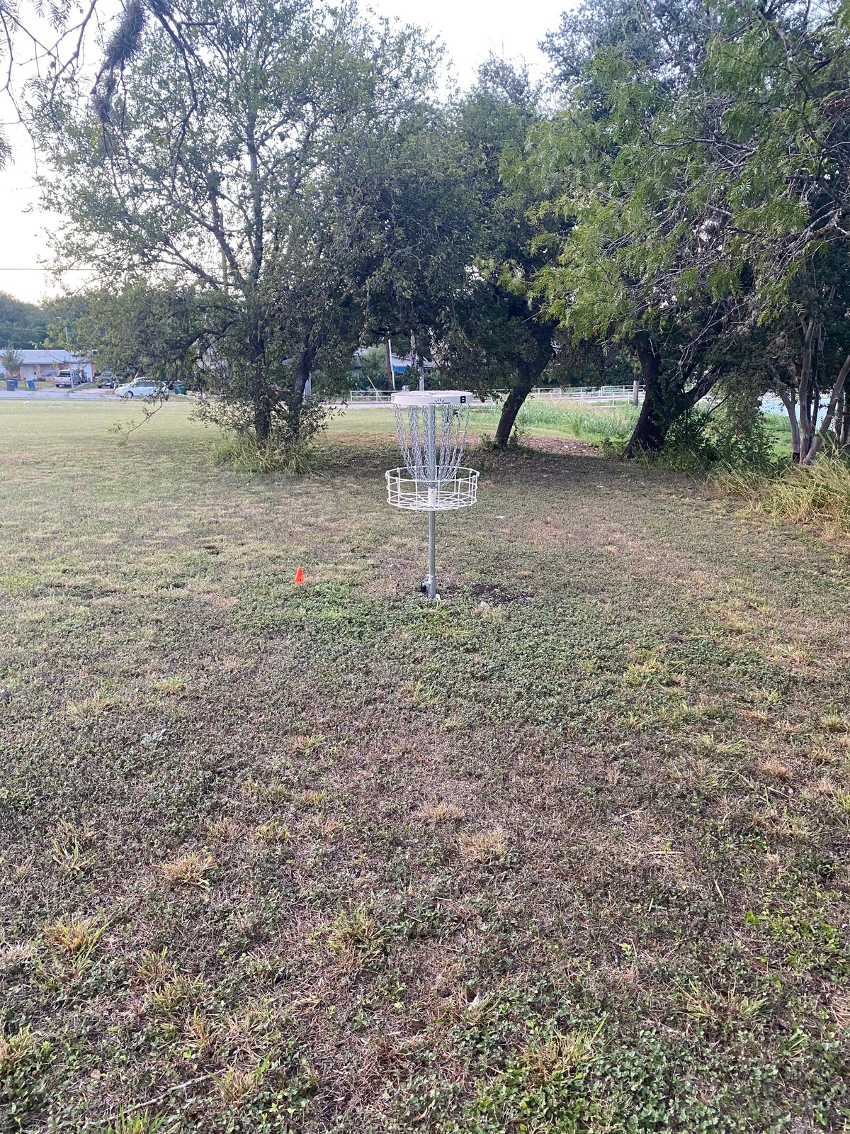 Hole 8 basket.
