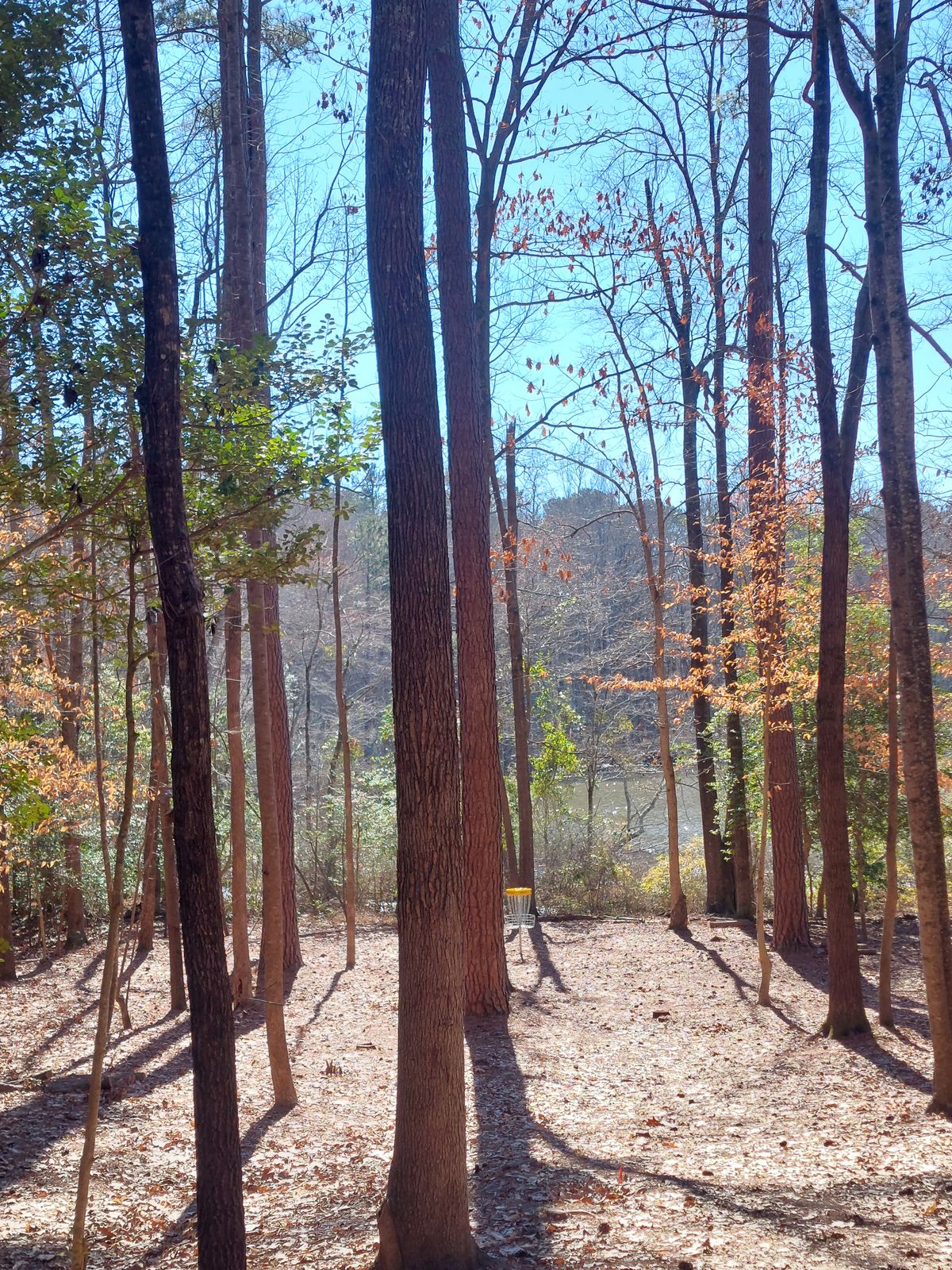 Hole 10