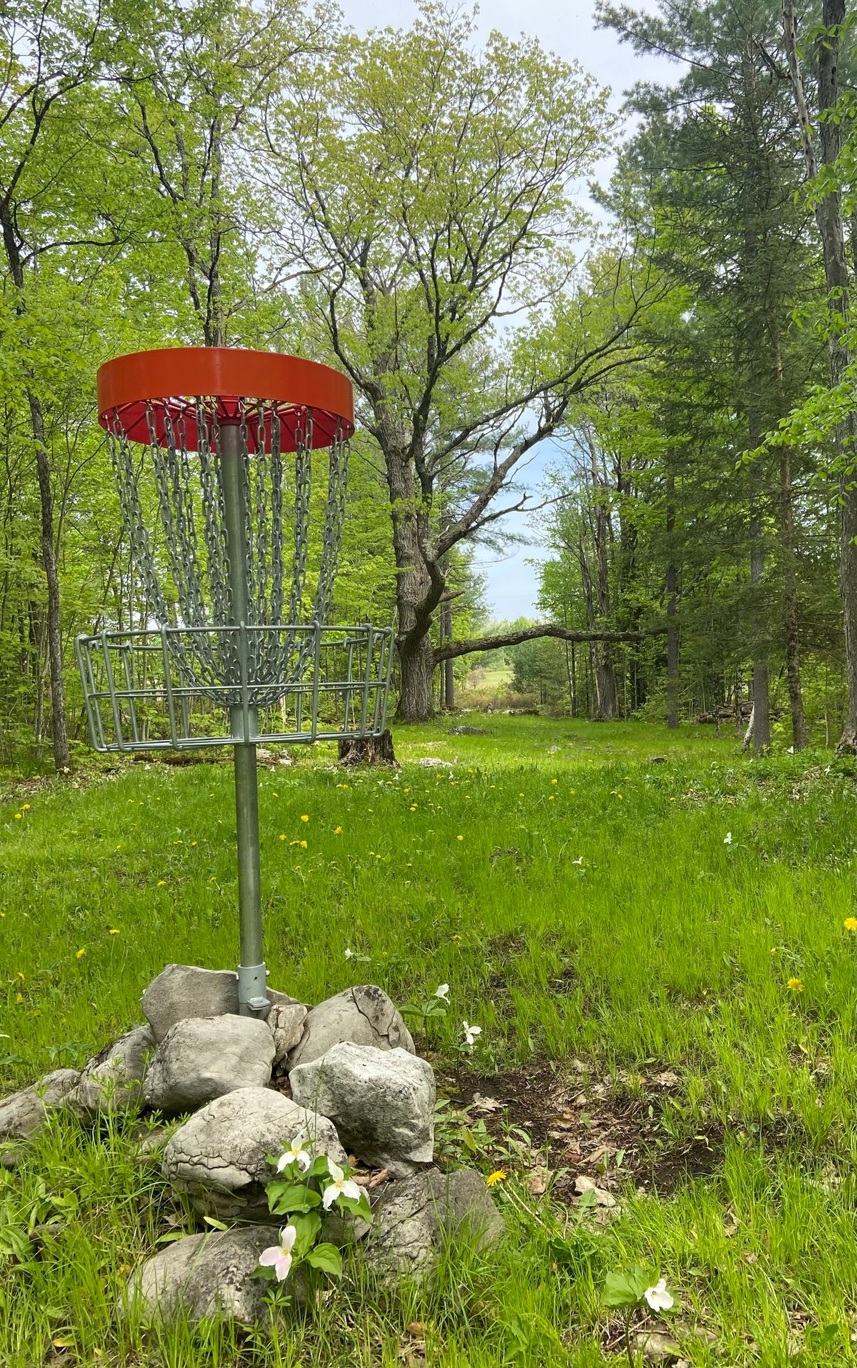 The iconic hole 4 with trilliums in bloom.
