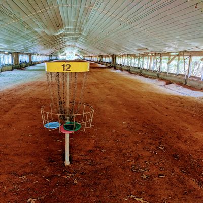 Chicken Coop #12 looking back at tees