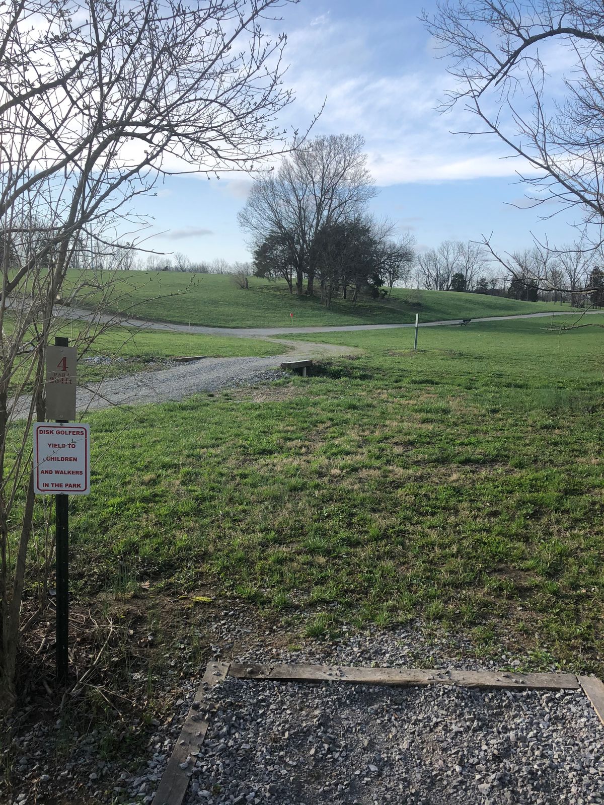 Hole 4 - basket is on the left side, behind the tree