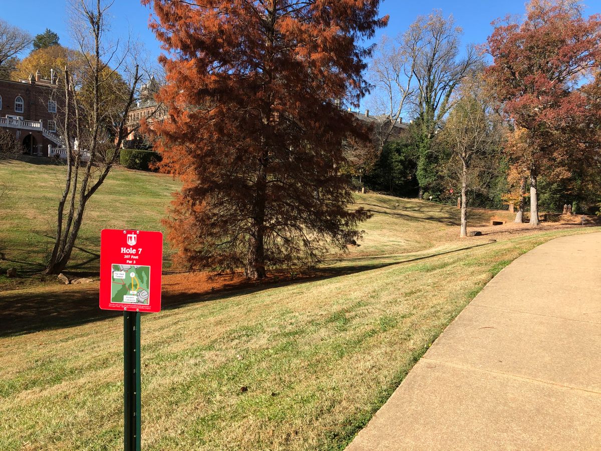 Hole 7 tee