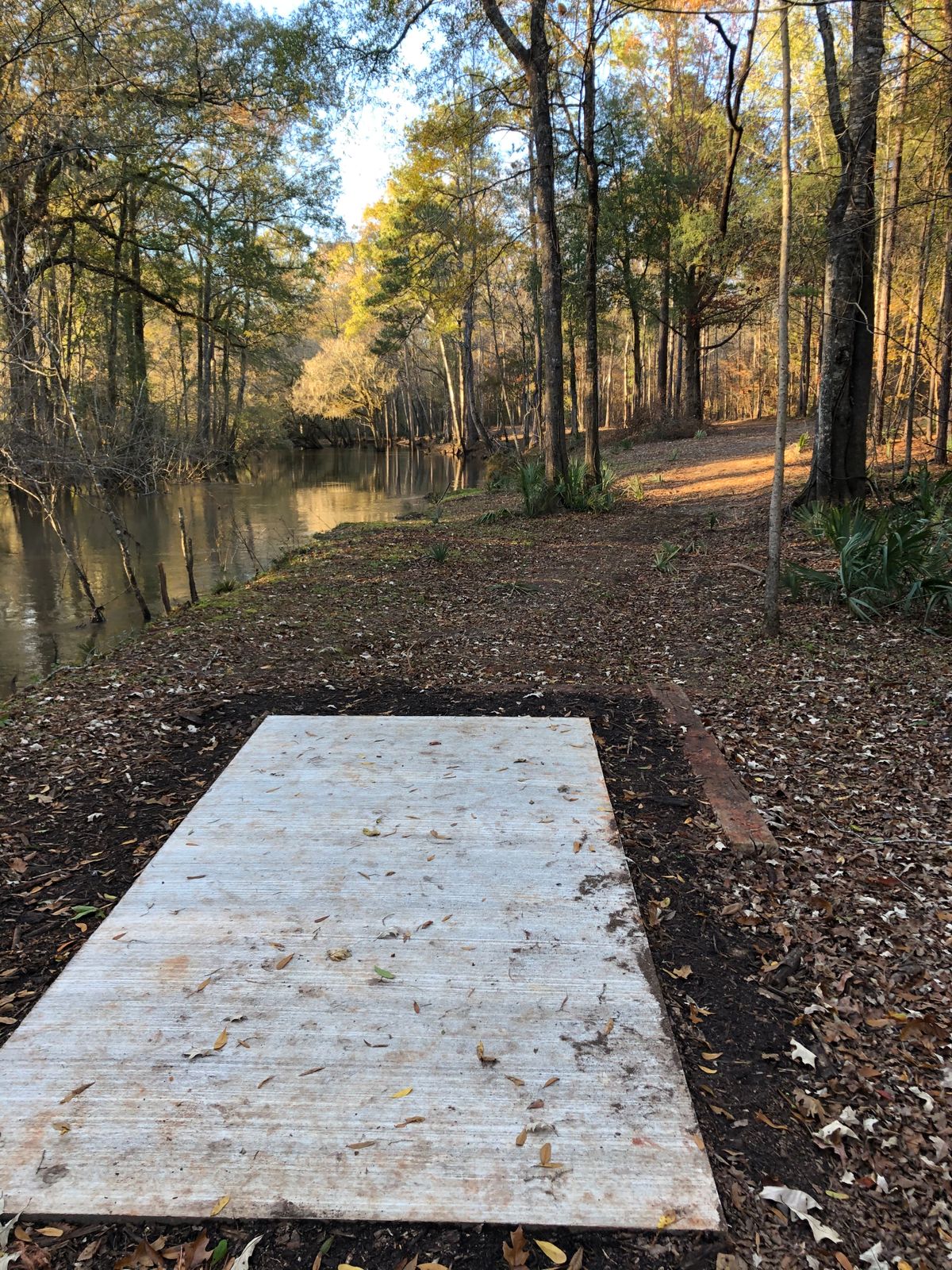 12 tee pad long