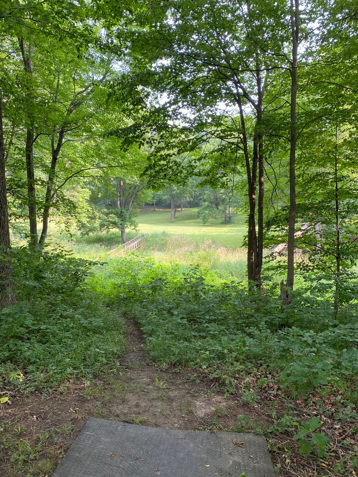 Hard to find challenging holes like this in Indiana. Get ready for the pressure!