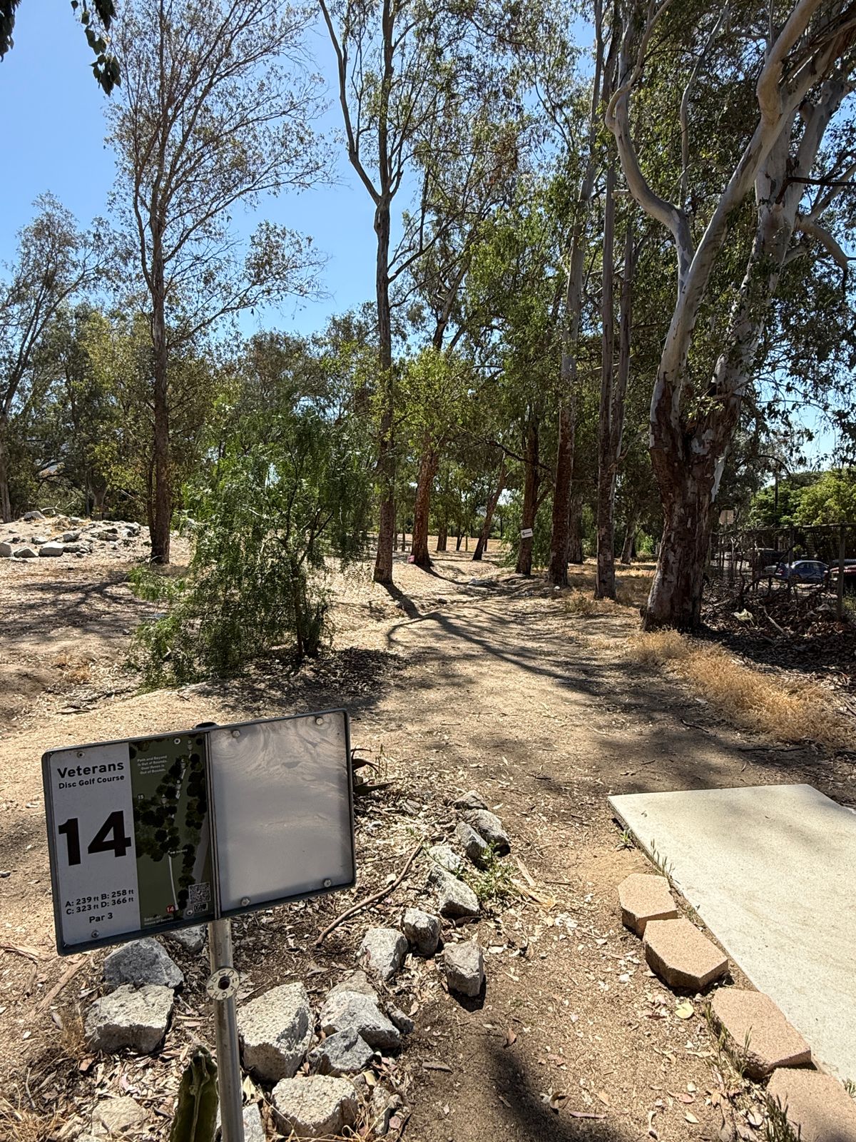 Hole 14 tee