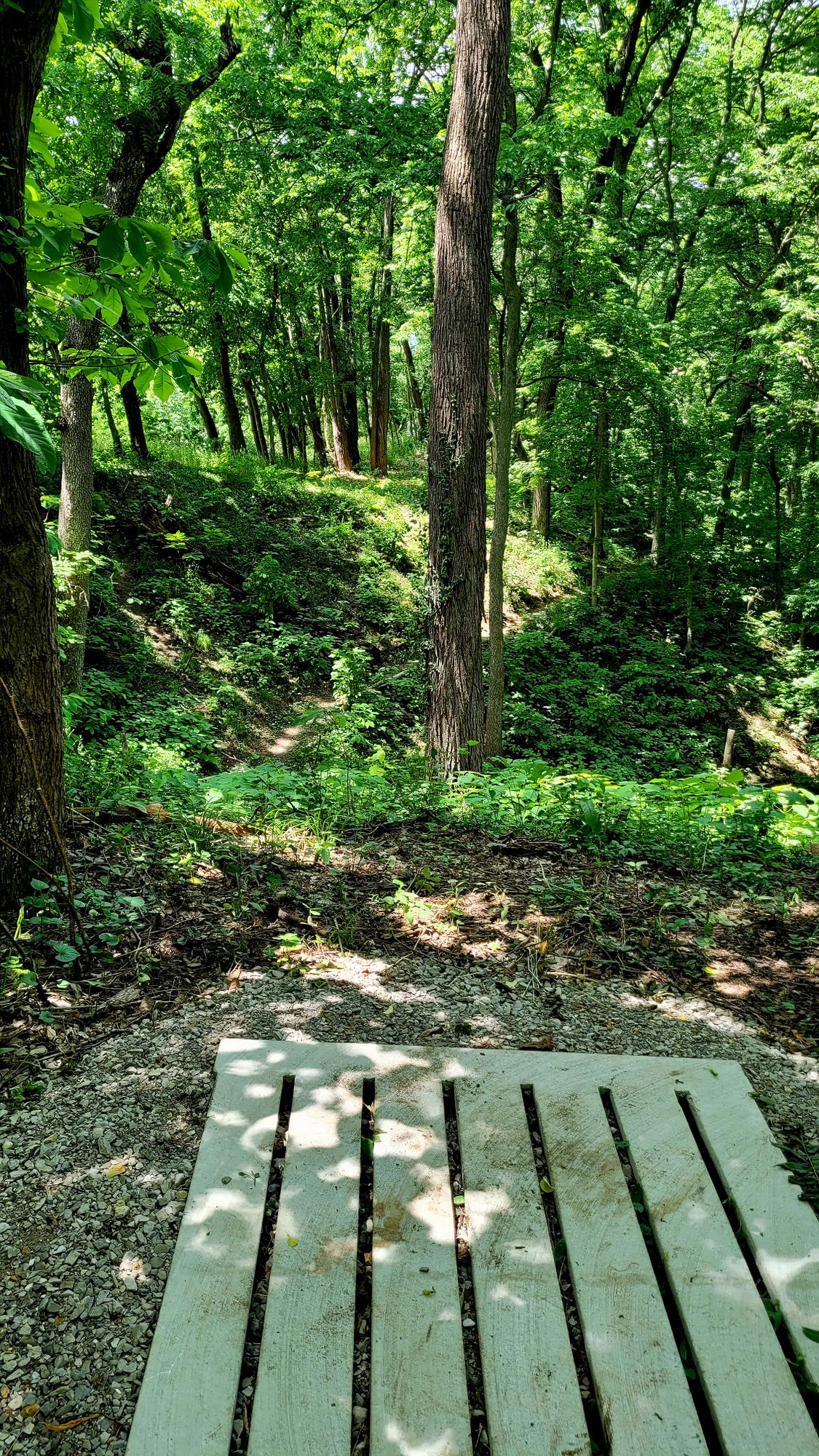 Hole 4