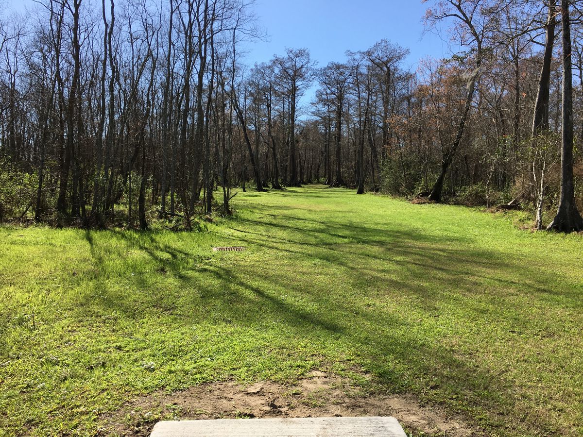Hole 12 Red Tee