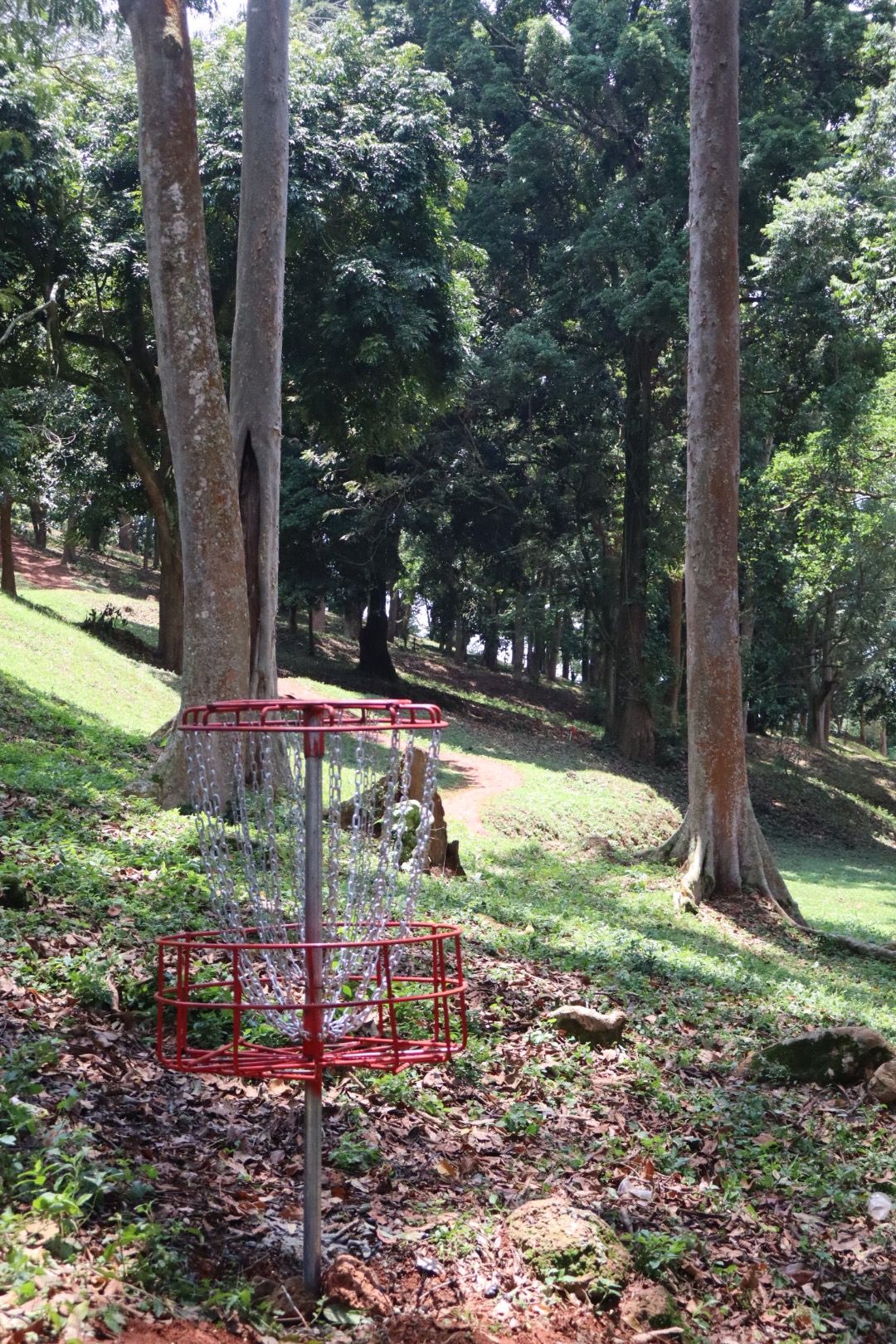 Hole 4 basket