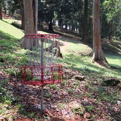 Hole 4 basket