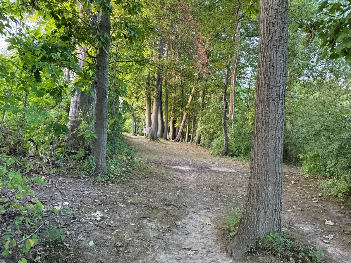 Hole 14 Fairway