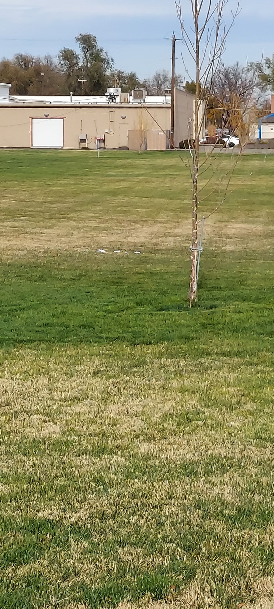 Hole 1 Basket