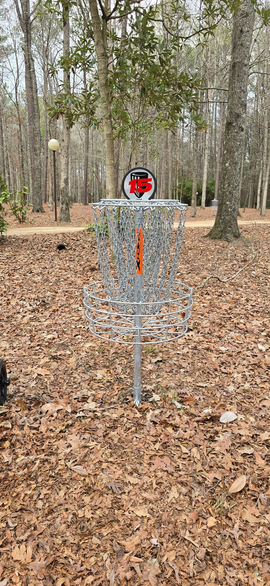 Hole 15 basket