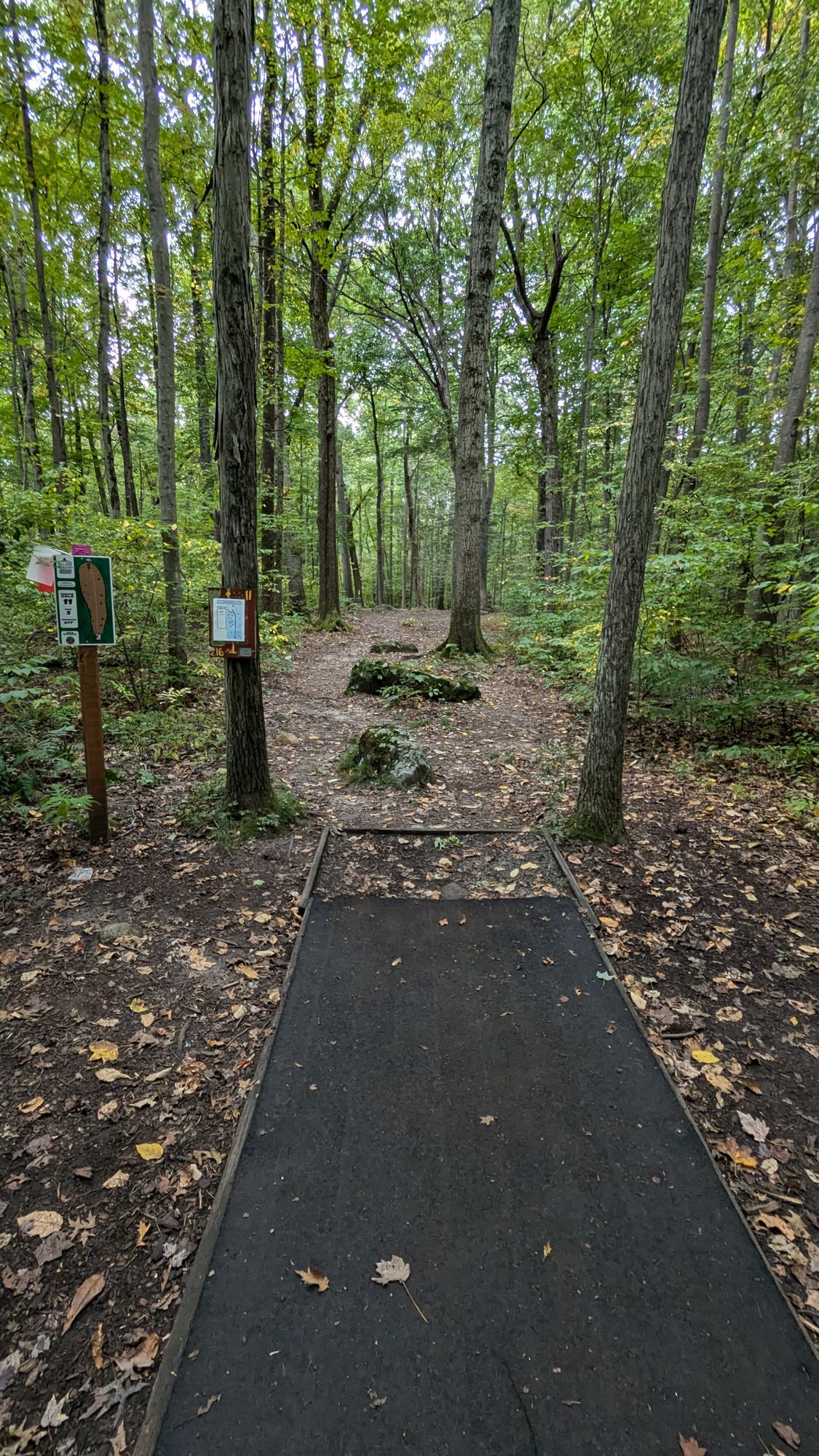 Hole 11 white/red (?) teepad