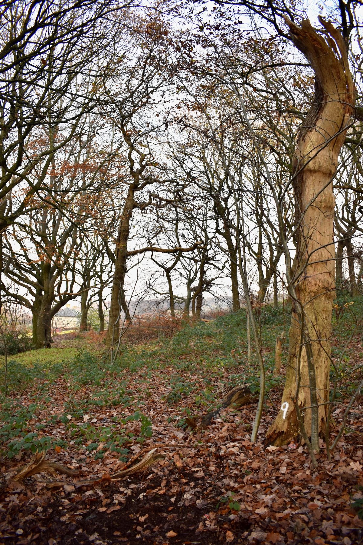 Four Stumps Hole 9 tee.
