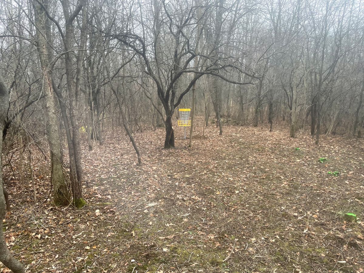 Basket for hole 15