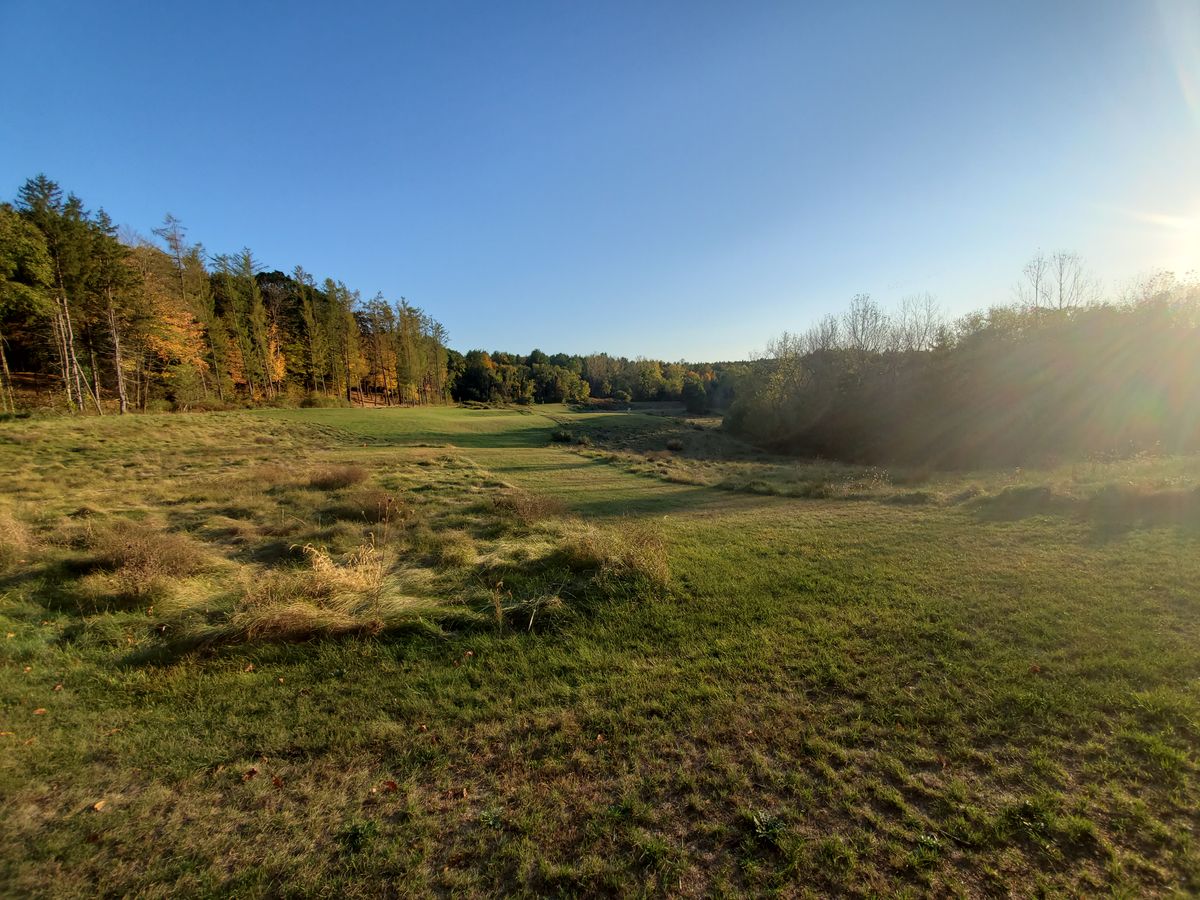 View from the box on 10