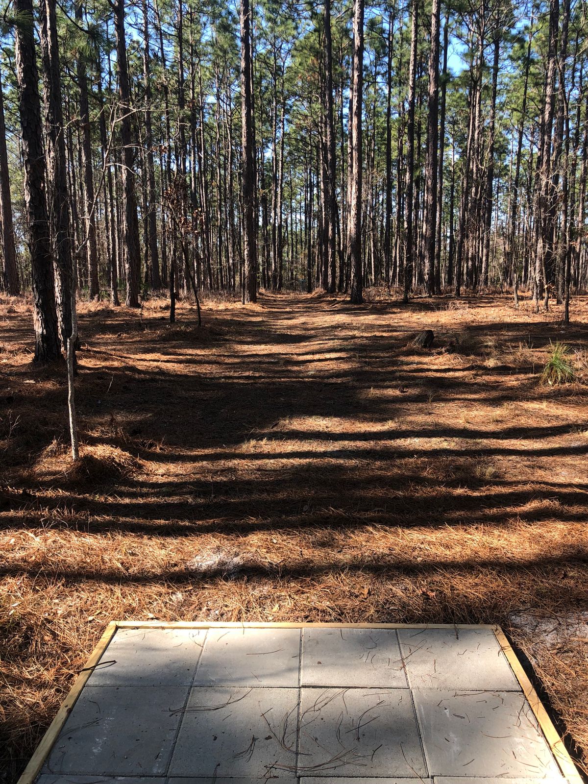 Hole 5. Straight slightly to the right.