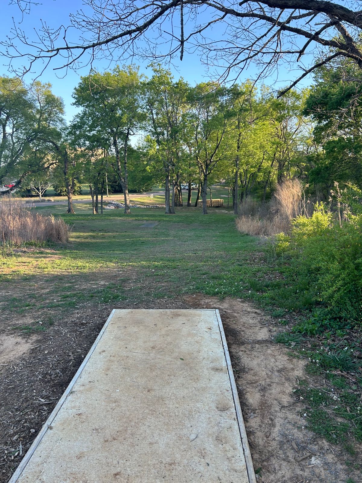Hole 7. Get past guardian trees then deal with ditch and road protecting green