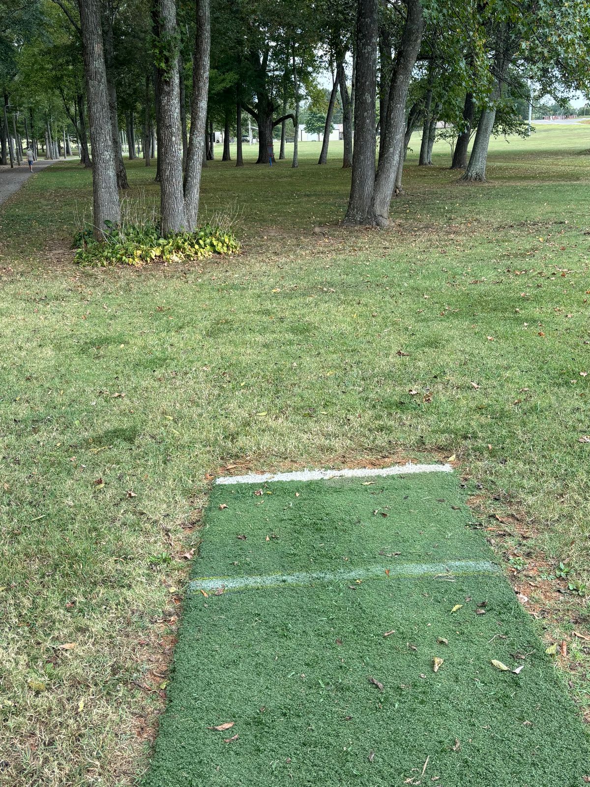 Hole 7 teepad