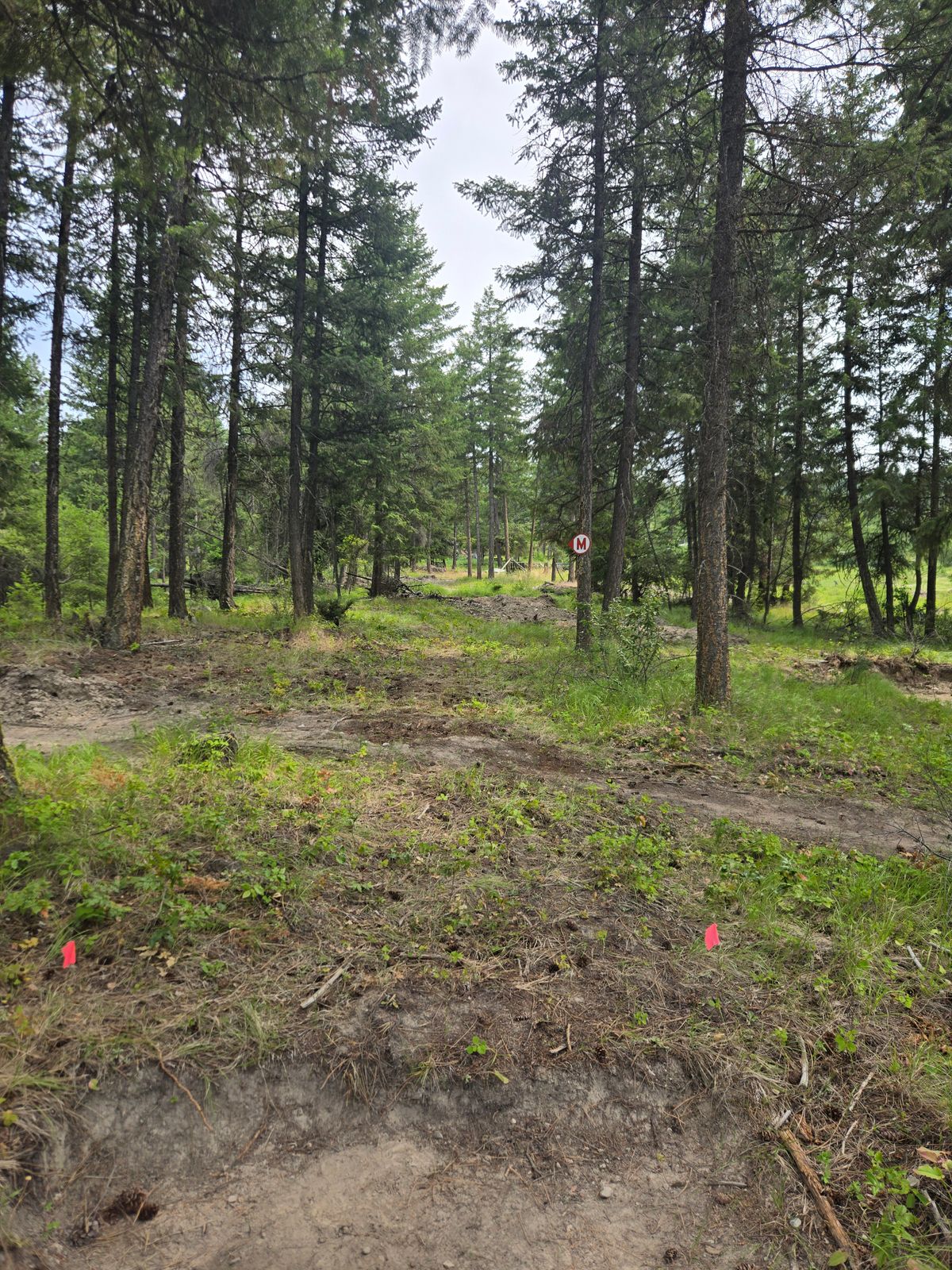 Hole 1 tee pad from Blue