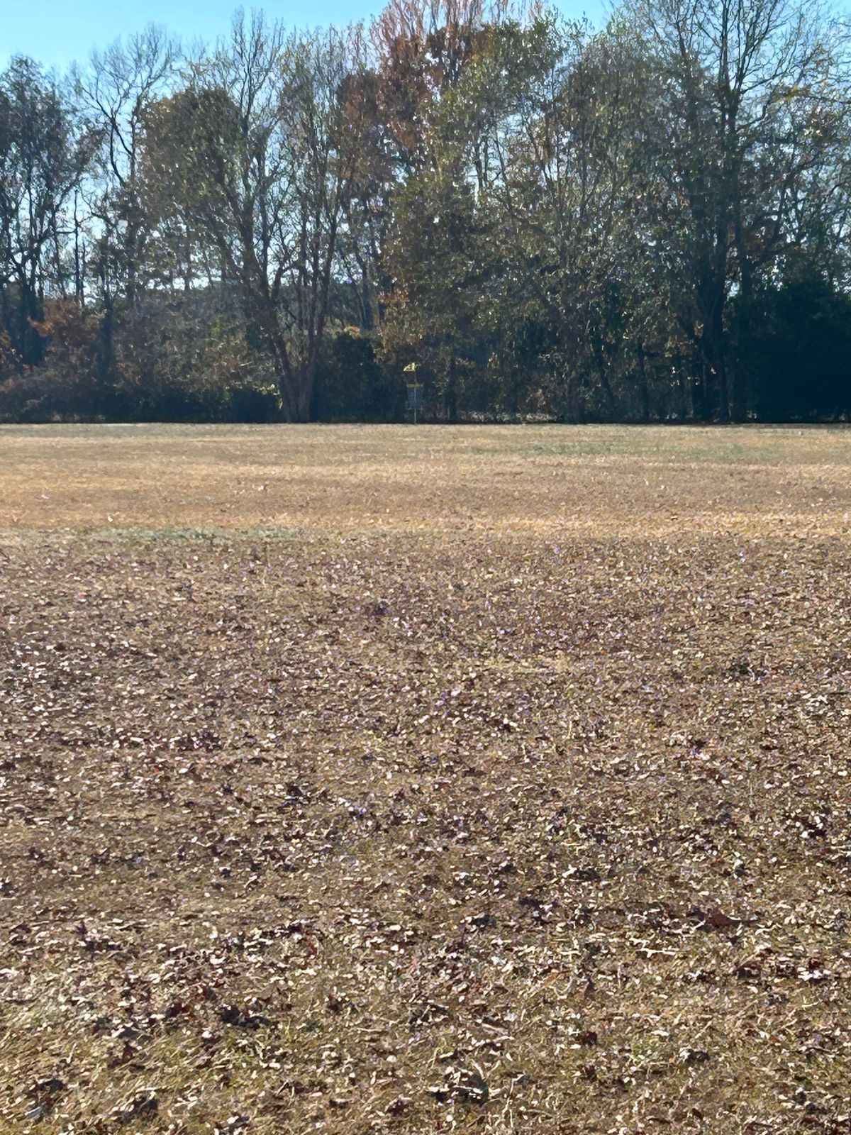 Hole 17 basket