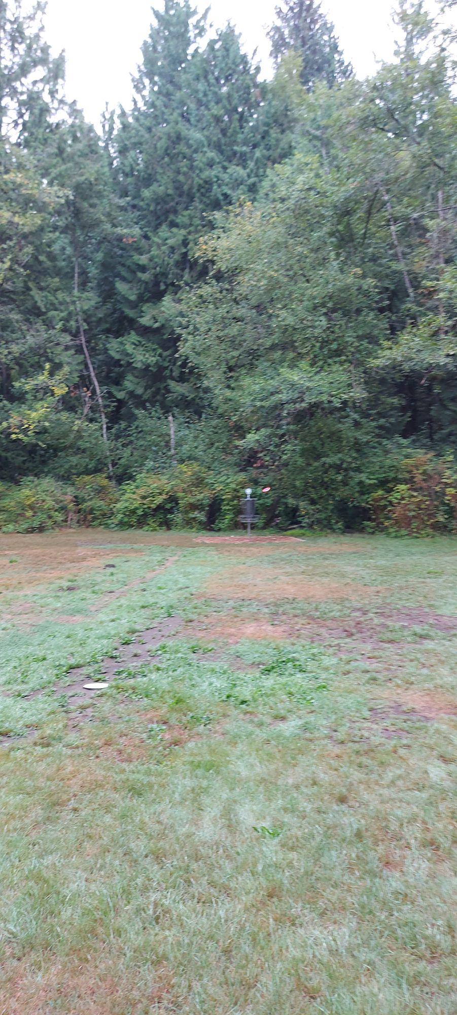 Putting on hole 4.🍃🍁🍃🍀