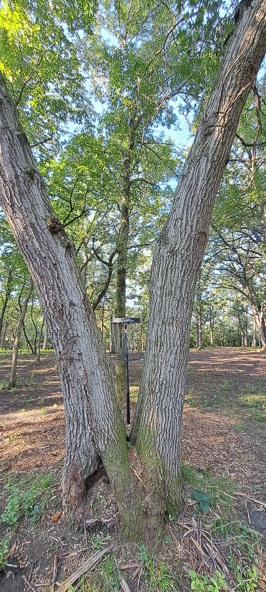 5 A