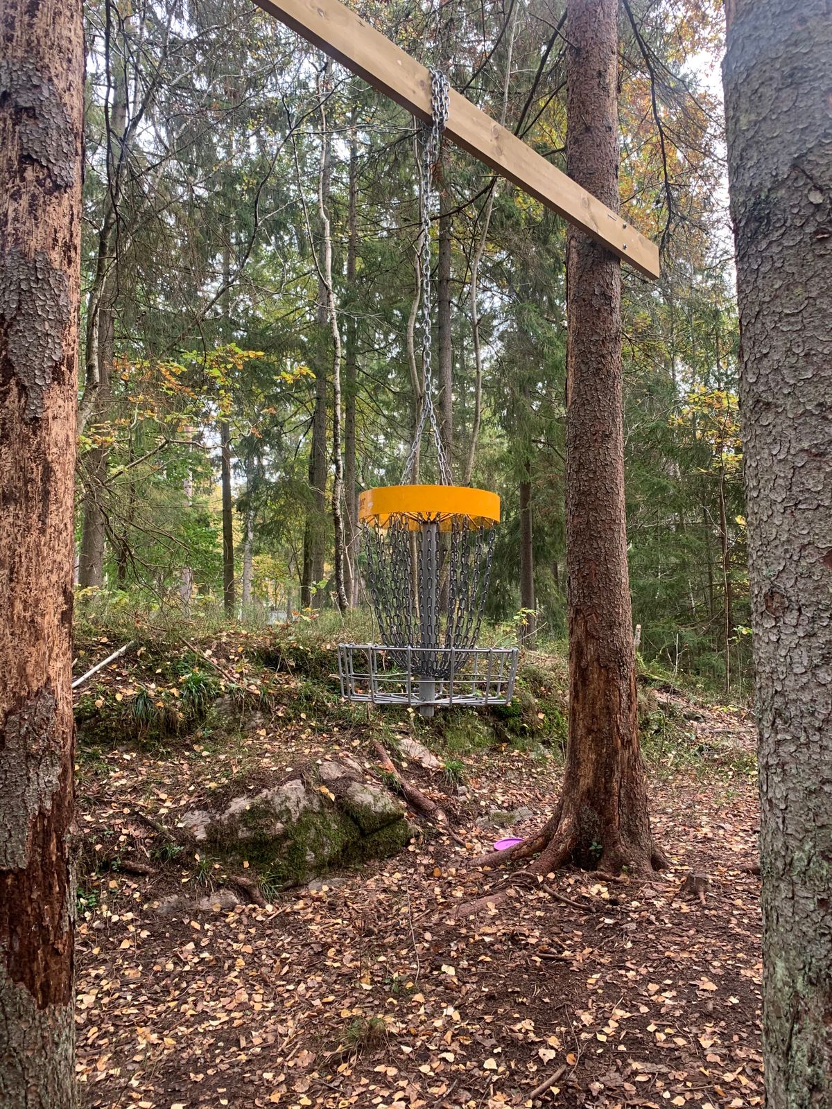 Hanging basket