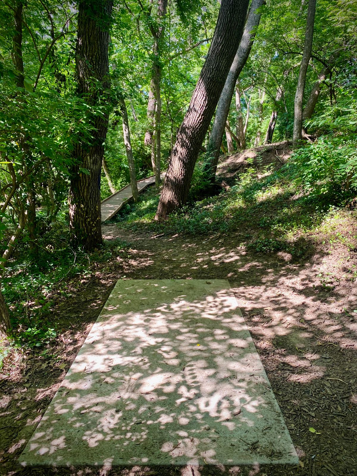 Hole 6