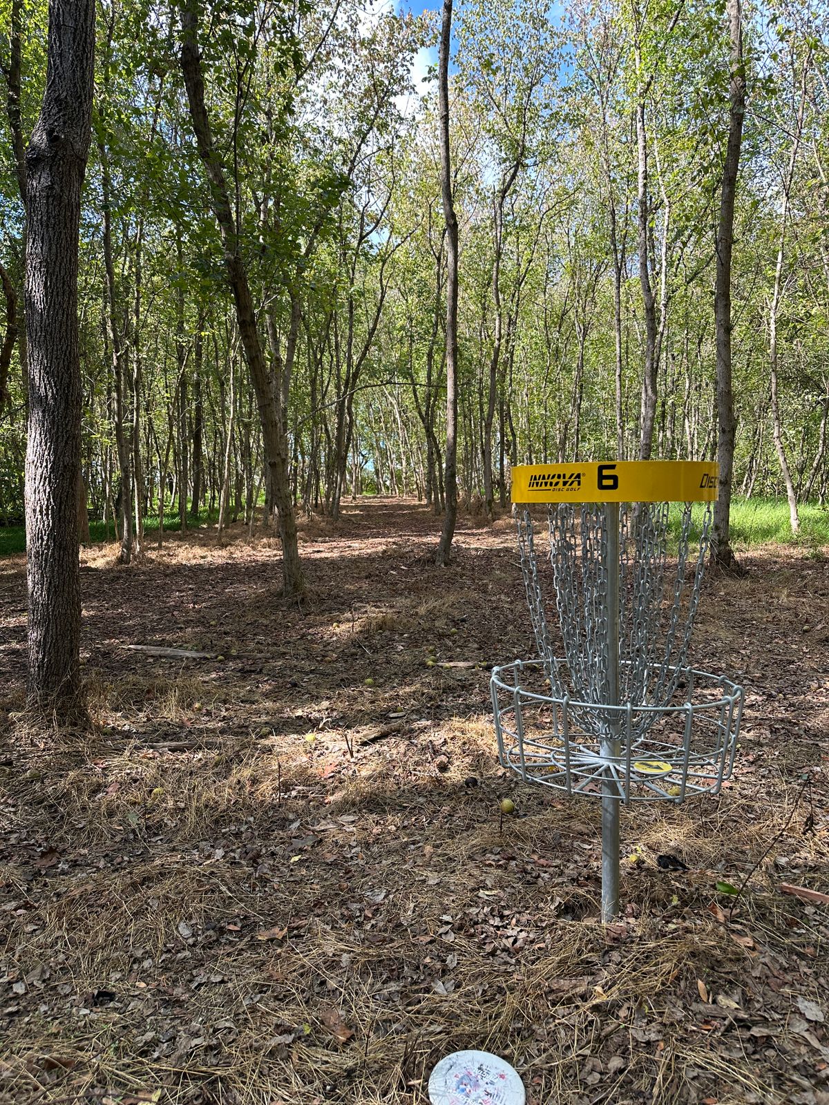 Hole 6 looking back to the tee.