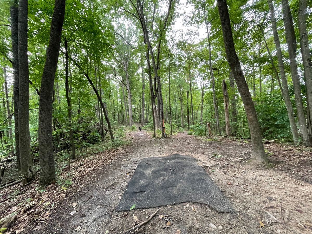 Hole 8 tee