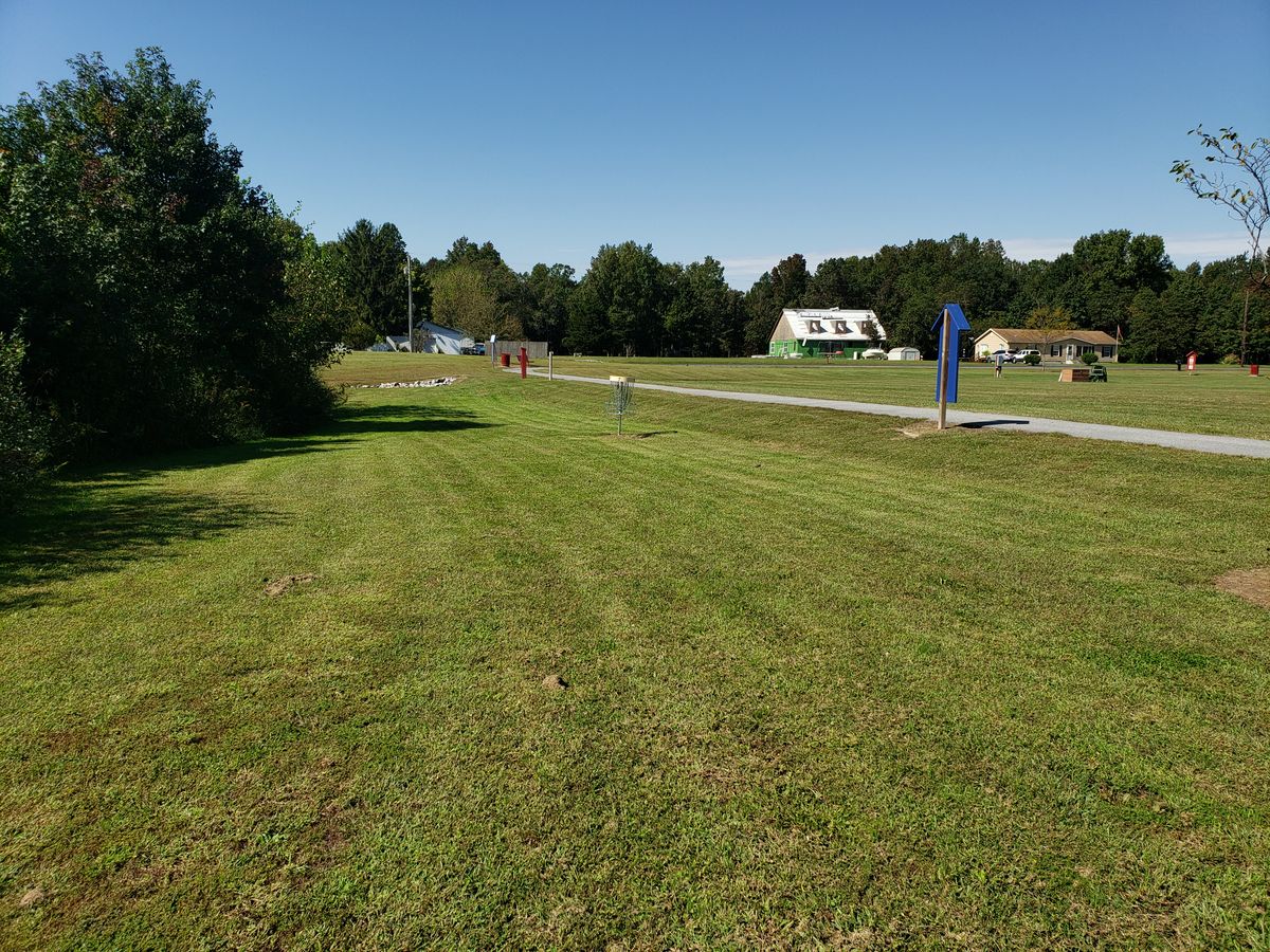 Hole 7 Basket.