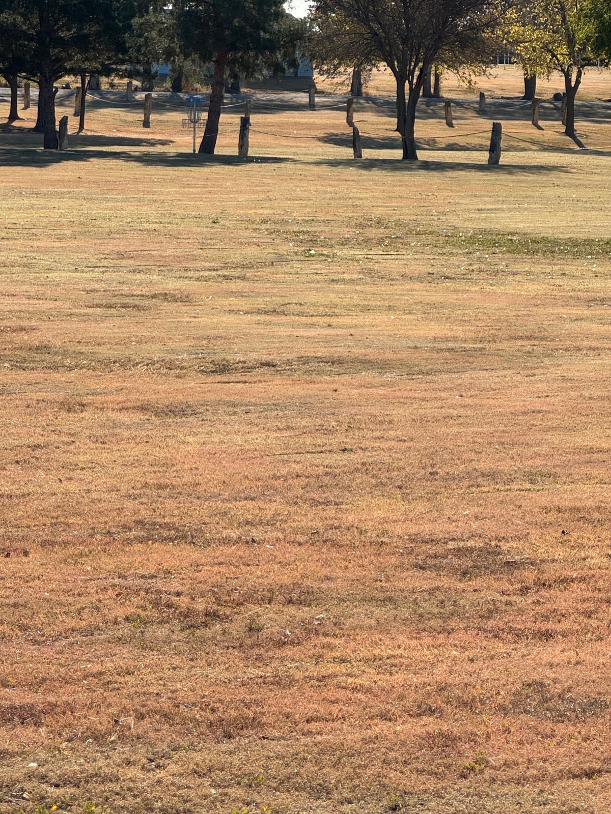 Hole 8