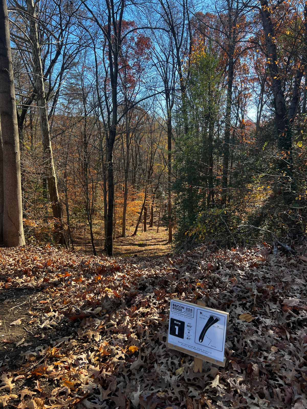 Hole 1 in the parking lot, down straight to the left slightly. 500+