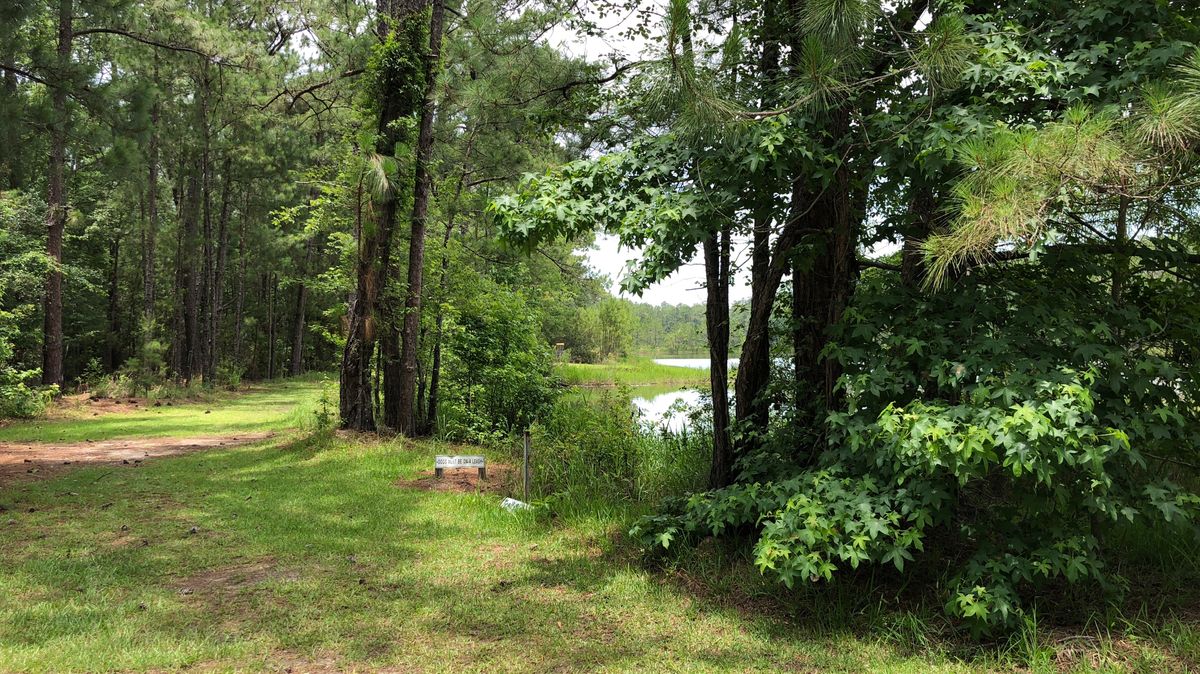 Hole 1
