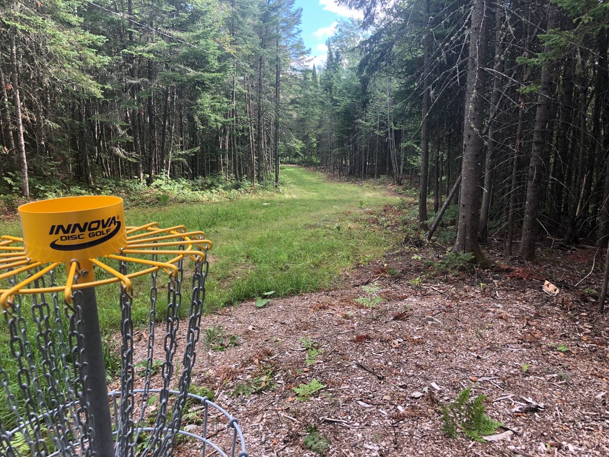 Hole #5 Basket