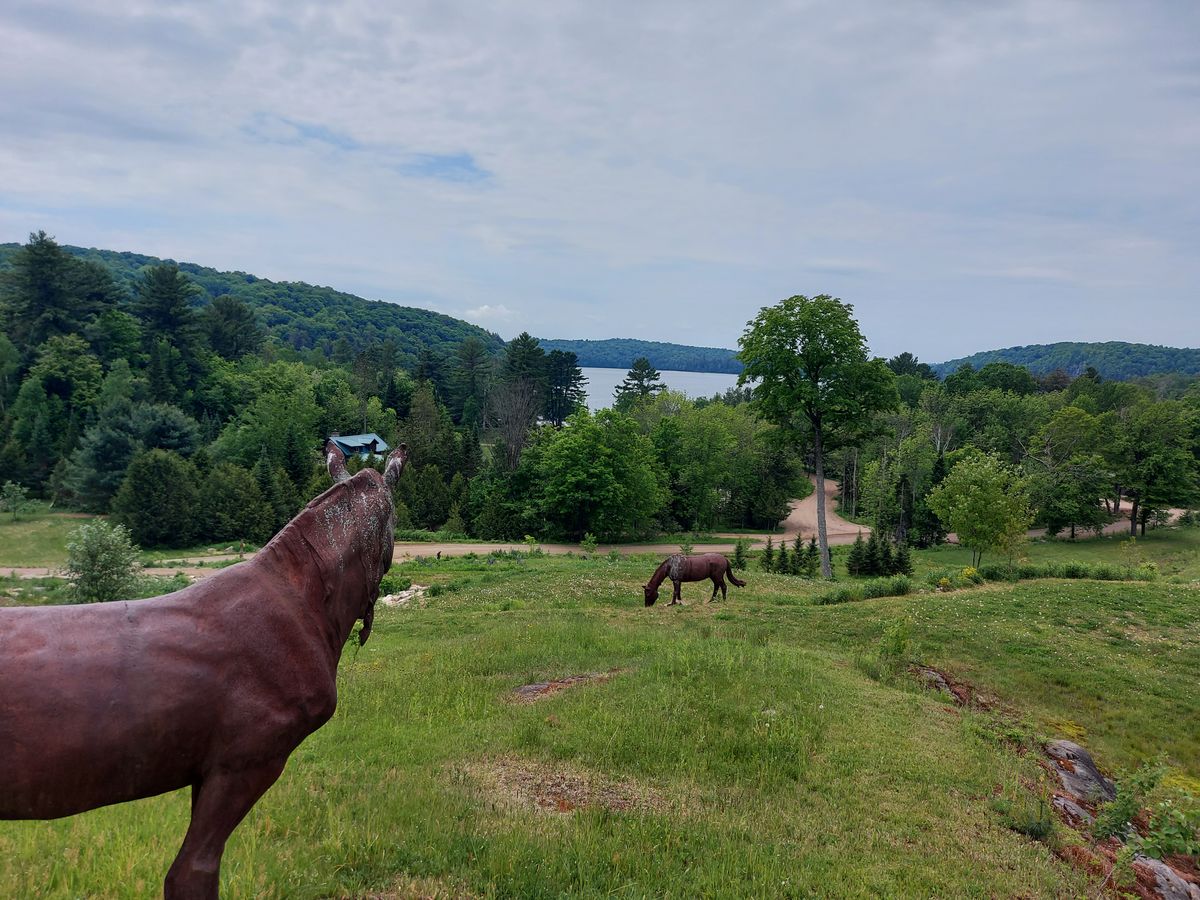 Beautiful sculptures through out the rest of the course. 🐴🐎🐴🐎🐴