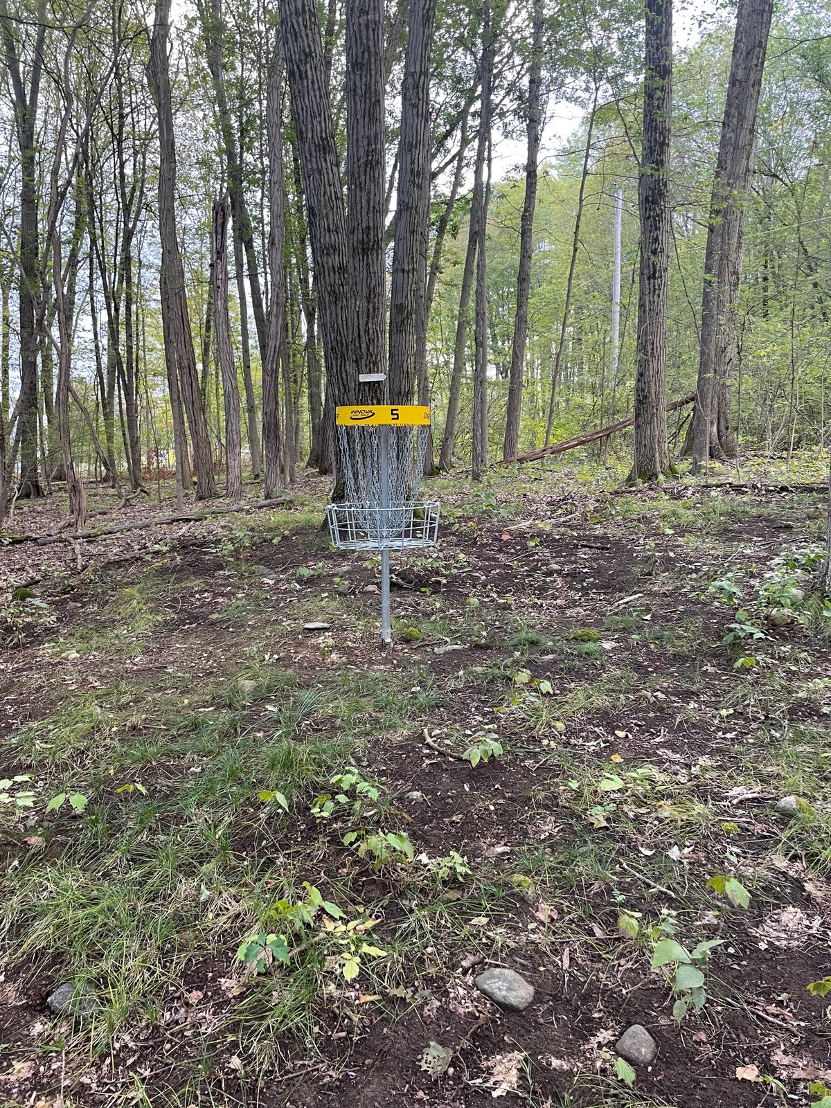 Hole 5 Basket