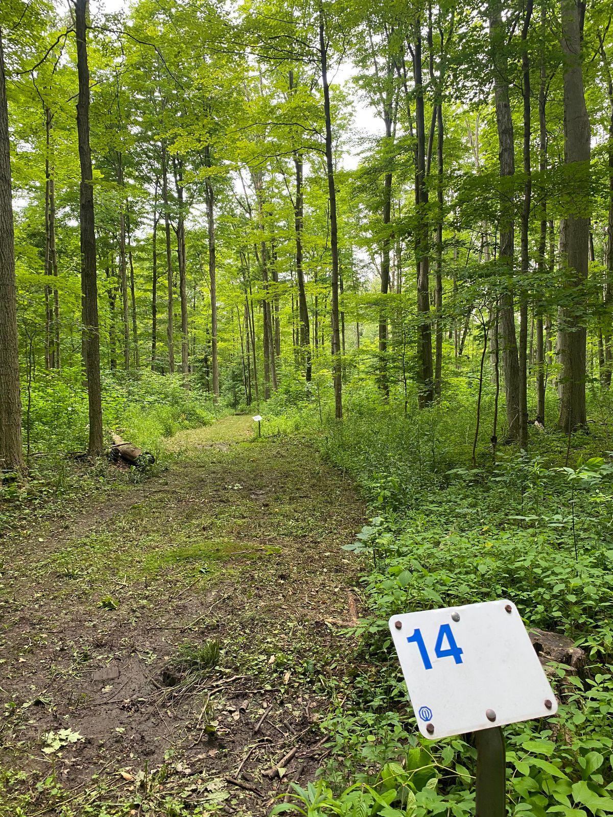 Hole 14
Blue