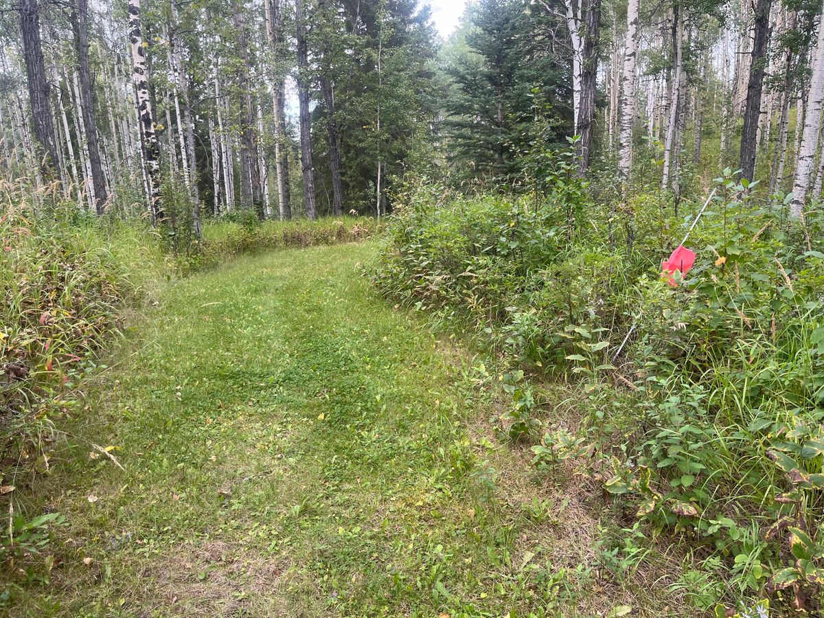 8th Tee