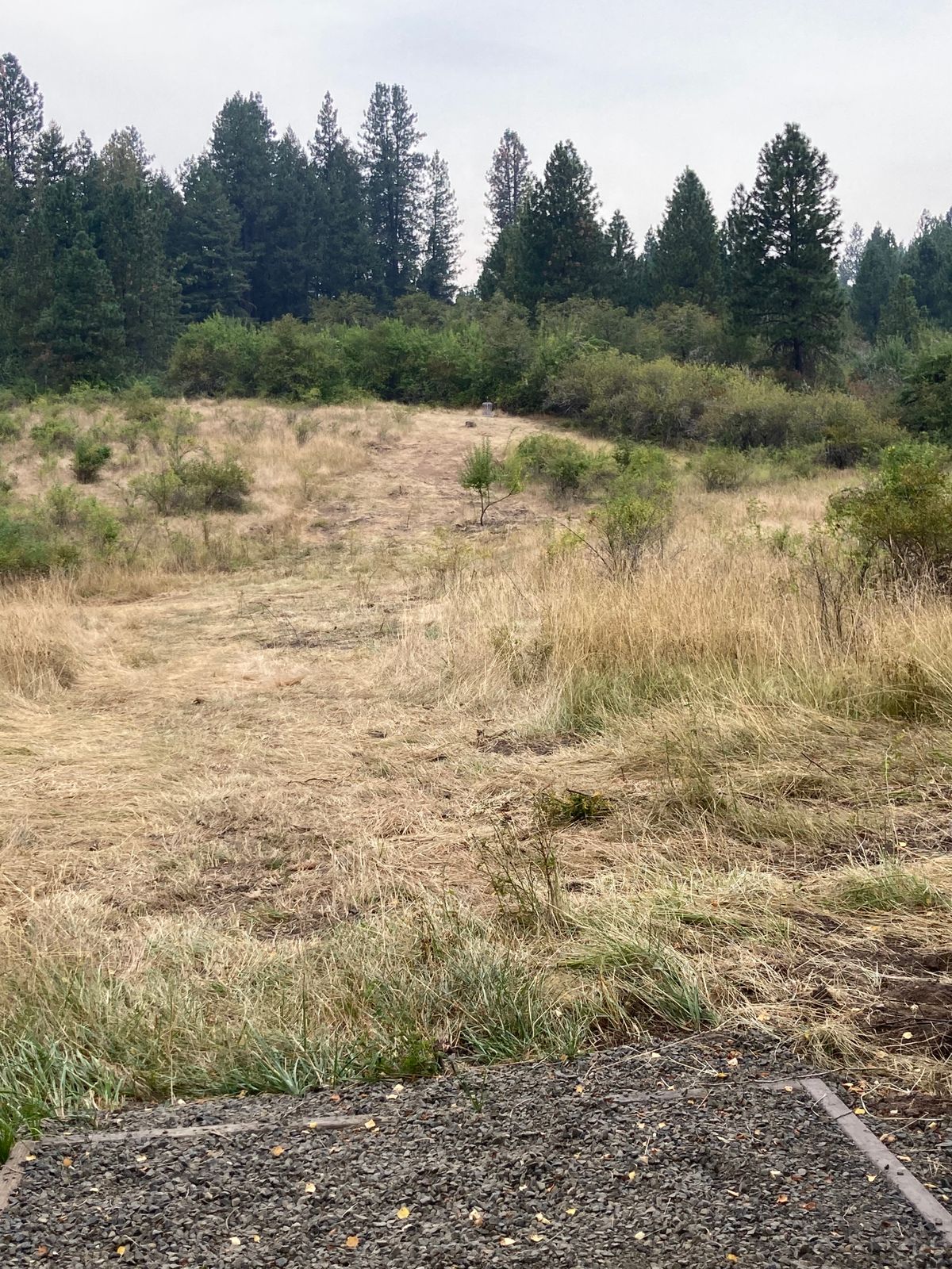 Hole 6.  Cleared fairway.