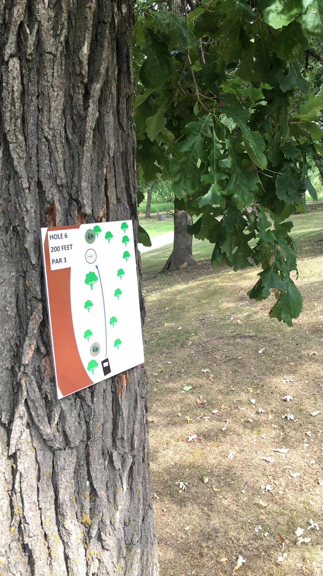 Hole 6 tee sign