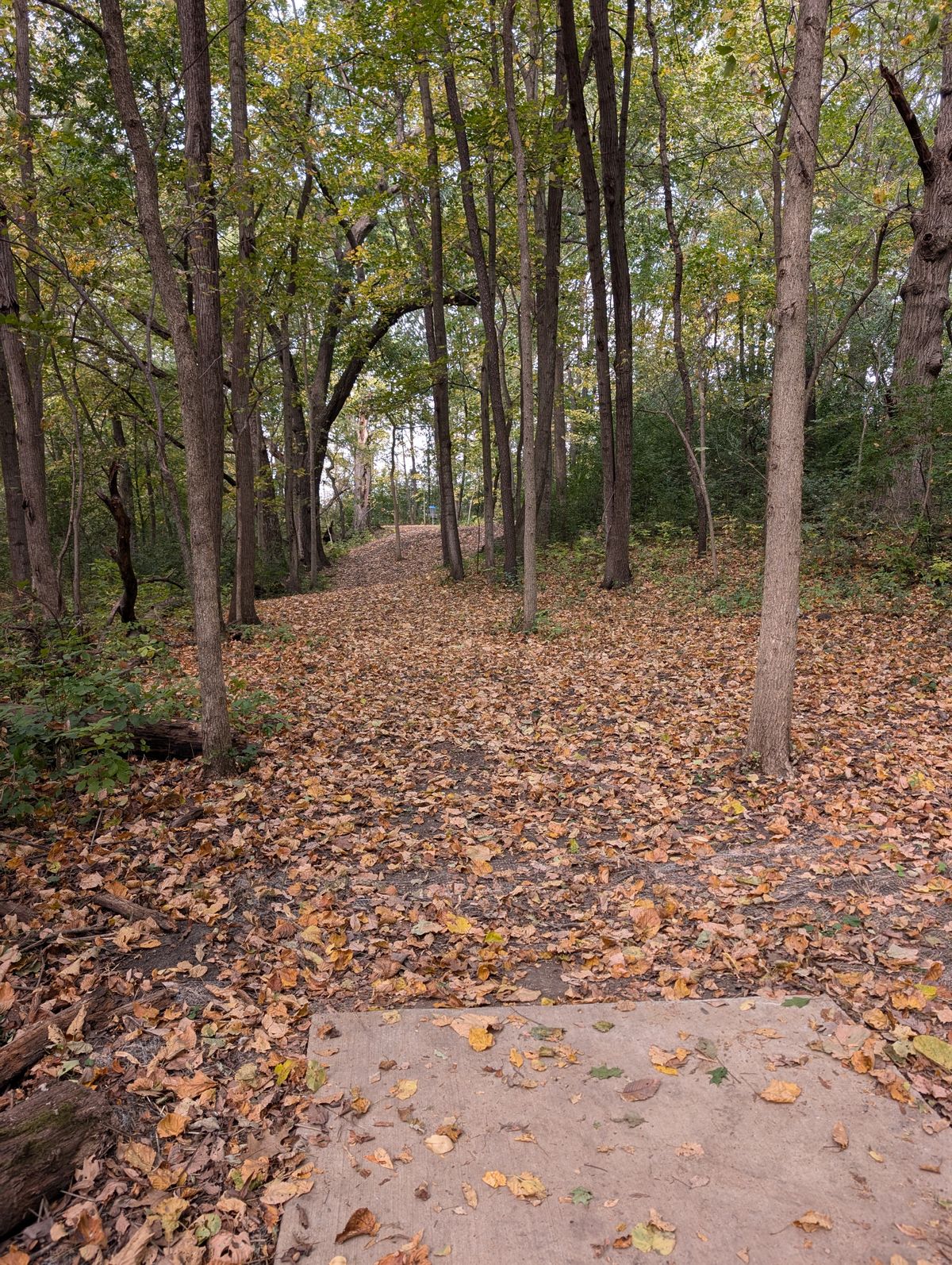 Hole 2