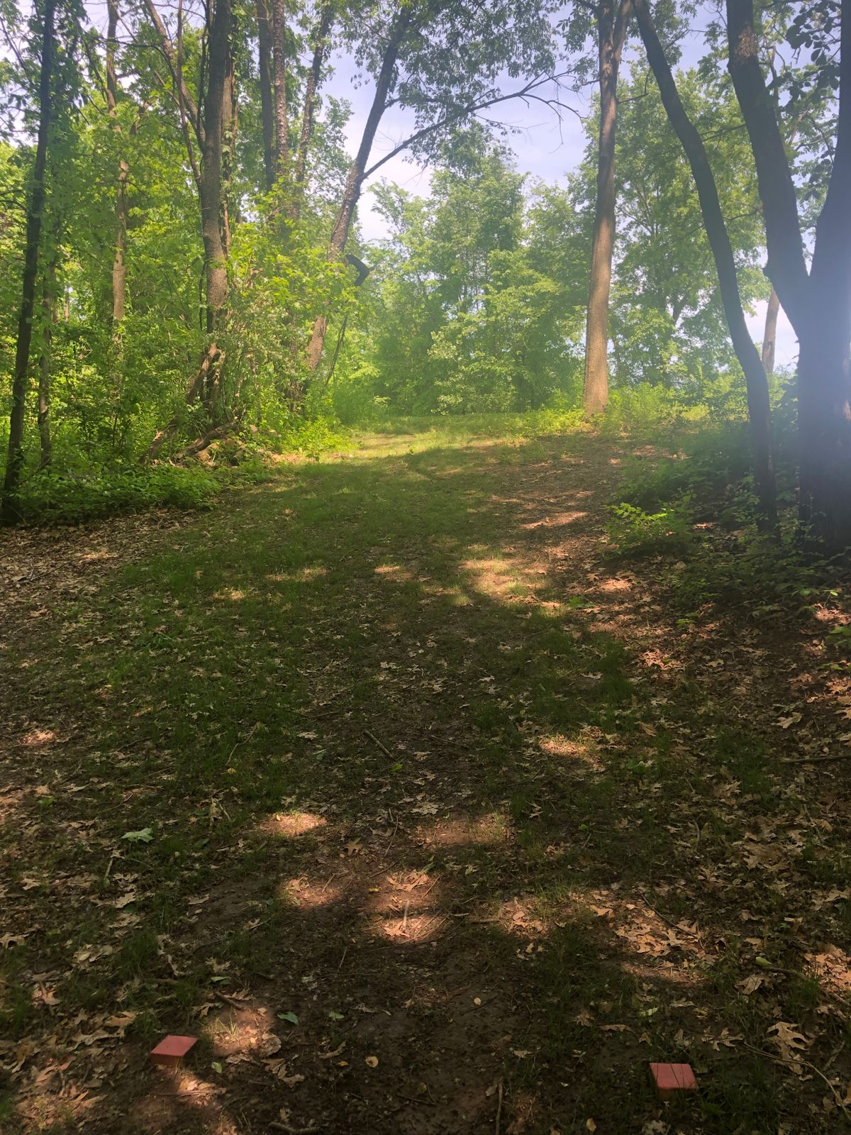Hole 3 red tee