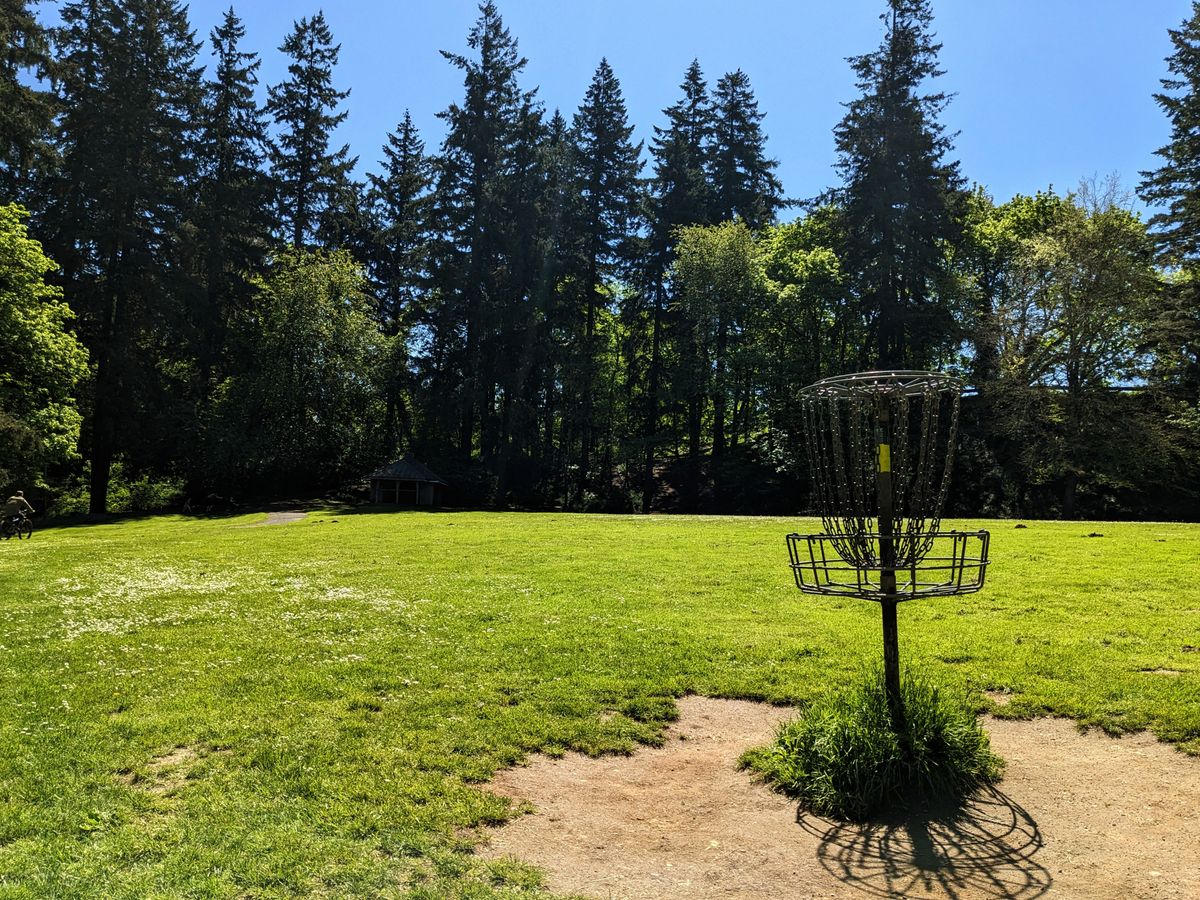 Disc season is upon us! Rejoice!